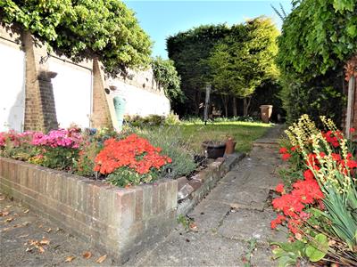 Picture 11
